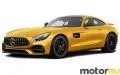 Mercedes-Benz AMG GT R 4.0 V8 (585 Hp)