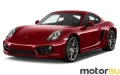 Porsche Cayman GT4 3.8 (385 Hp)