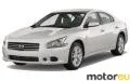 Nissan Maxima VII 3.5 i V6 (290 Hp)