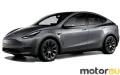 Tesla Model Y Performance 80.5 kWh (534 Hp)